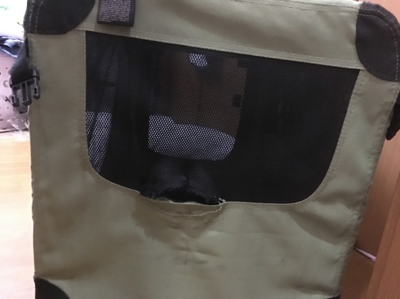 c0123890_19073991.jpg