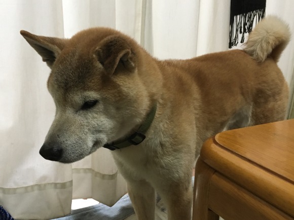 c0123890_19590837.jpeg