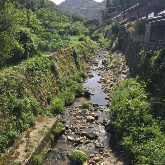 f0217090_07214283.jpg