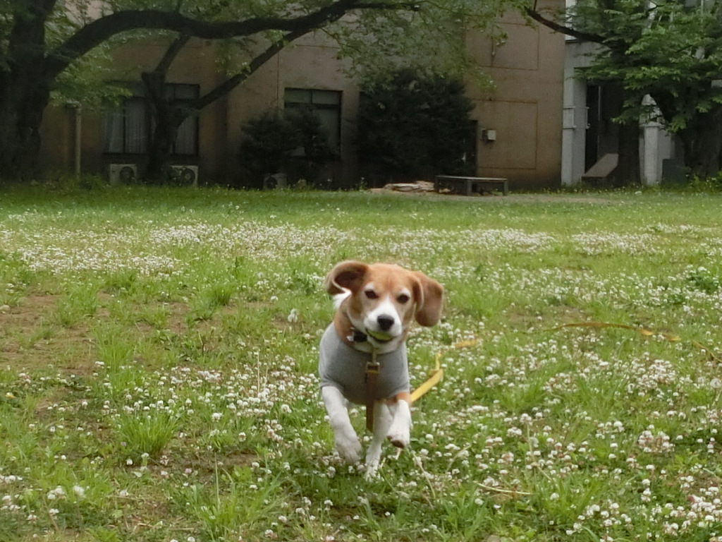 a0319693_7411328.jpg