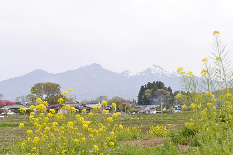 a0023397_21482571.jpg