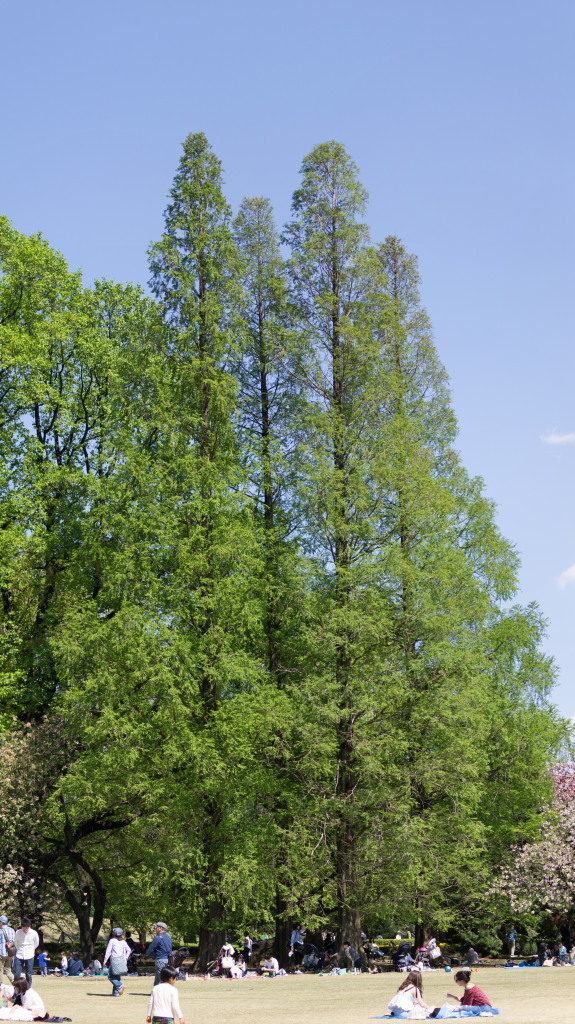 c0238497_09014343.jpg