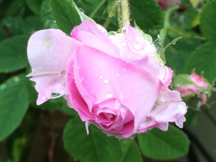 f0201297_16173957.jpg