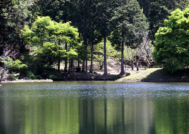 a0260500_13215388.jpg