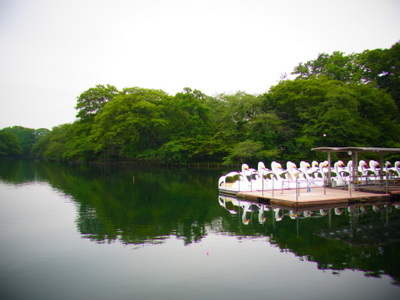 b0079002_11272611.jpg