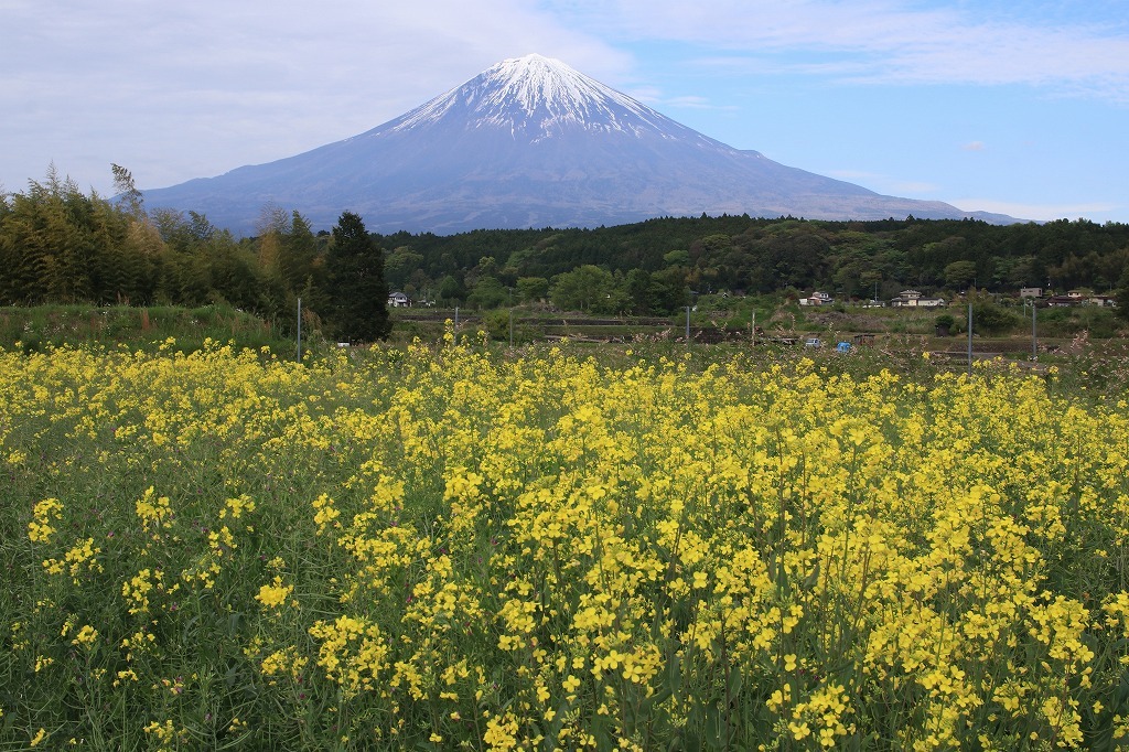 a0188405_19212428.jpg