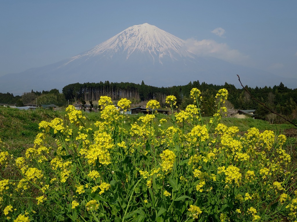 a0188405_19241882.jpg