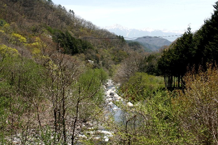 d0140806_105448.jpg