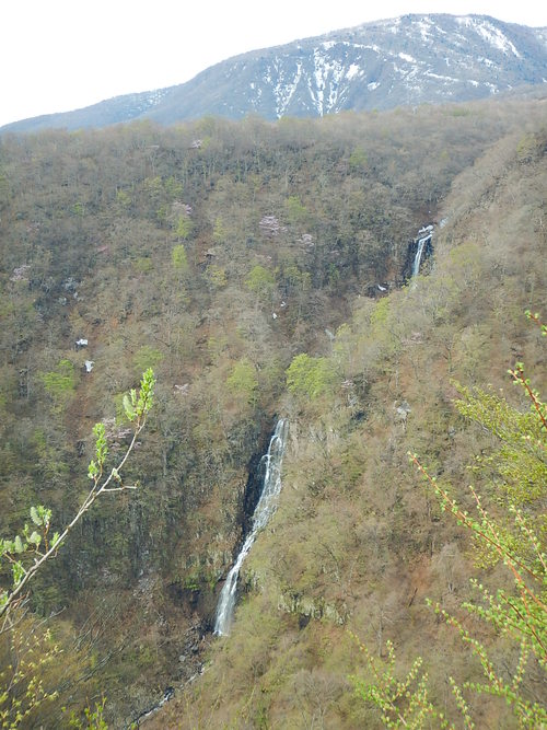 e0243008_20384745.jpg