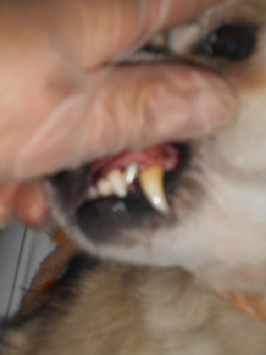 f0078320_23254150.jpg