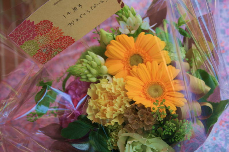 f0320020_73395.jpg
