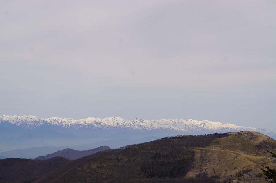 f0131721_04380694.jpg