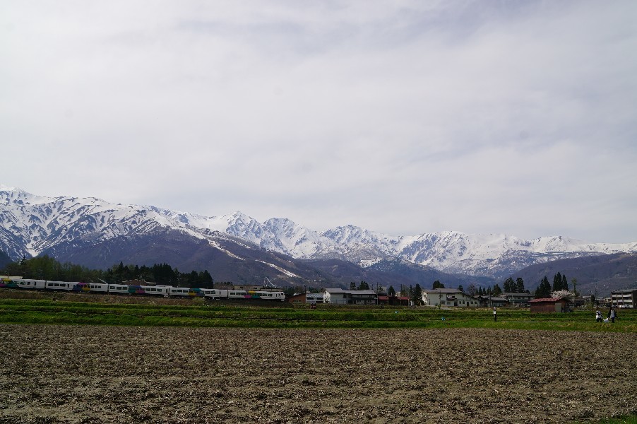f0131721_04392907.jpg