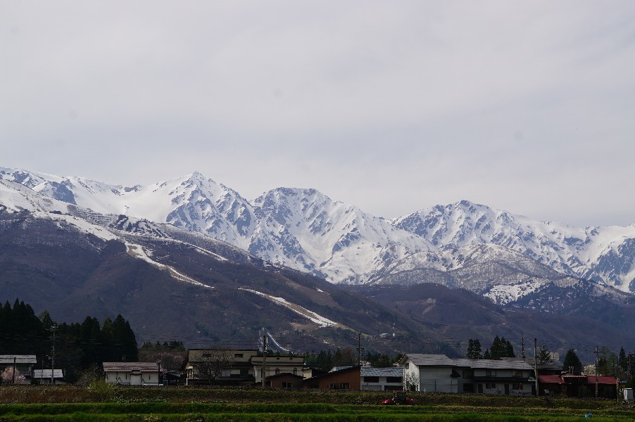 f0131721_04394604.jpg