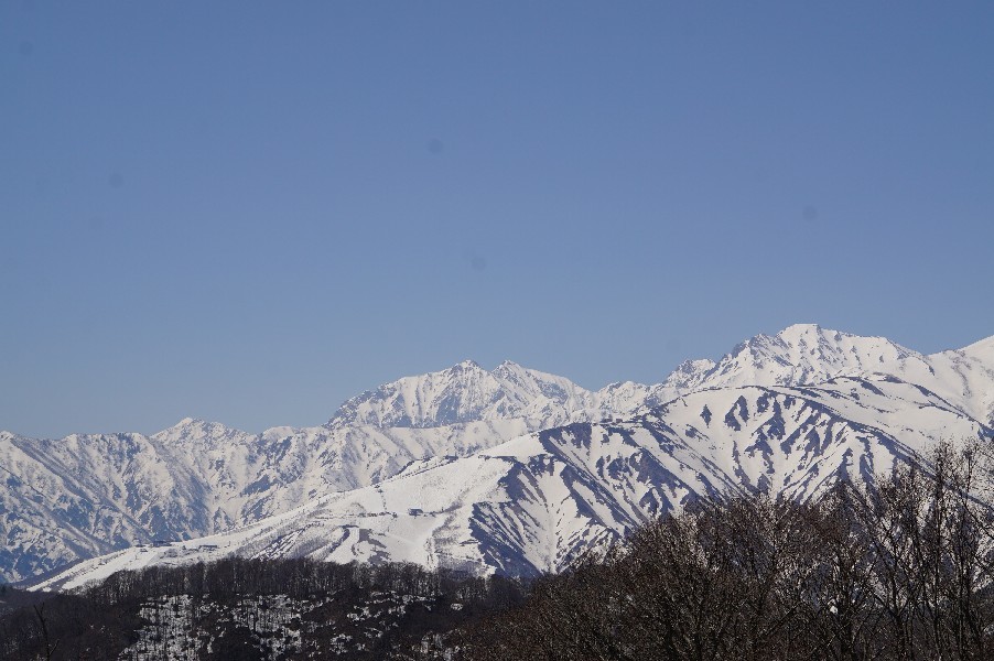 f0131721_04424397.jpg
