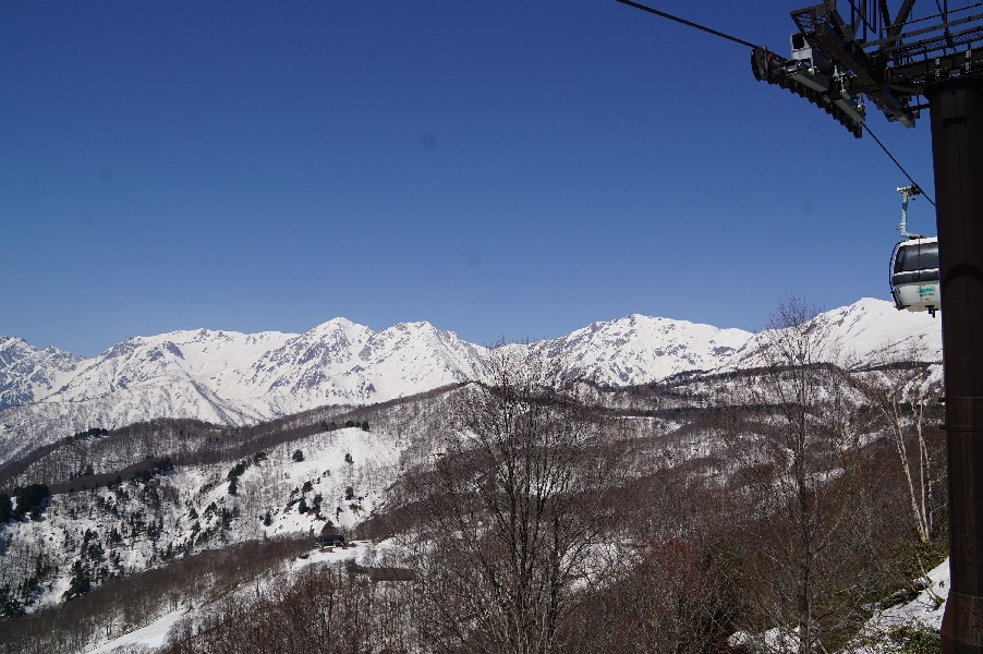 f0131721_04431983.jpg