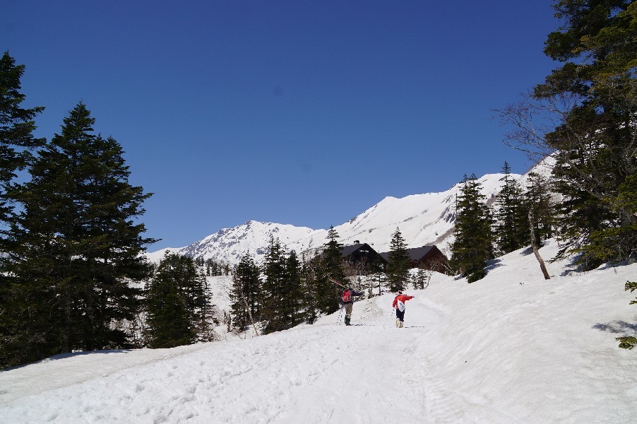 f0131721_04475446.jpg