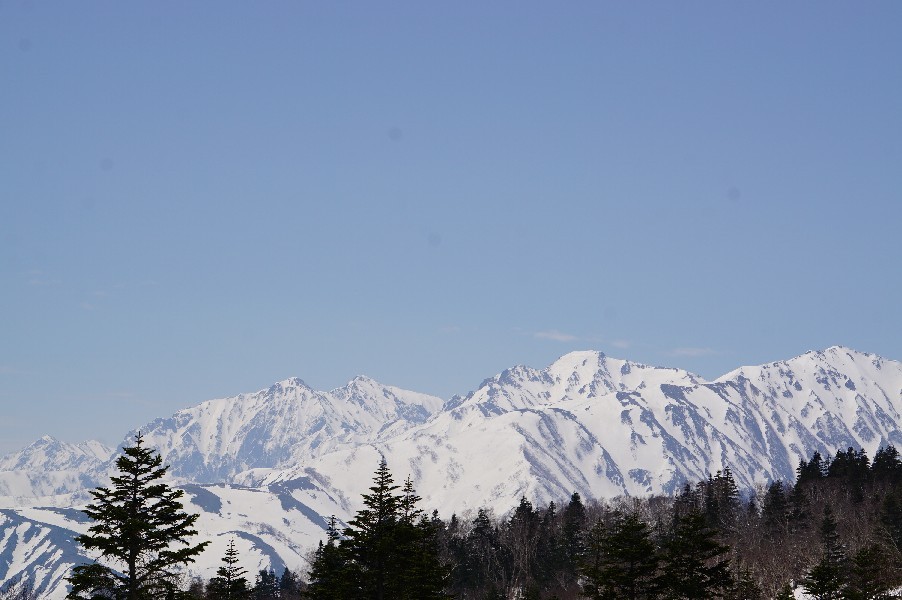f0131721_04481348.jpg