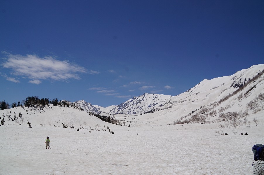 f0131721_04505987.jpg