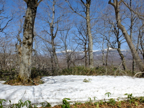 f0362524_19021708.jpg