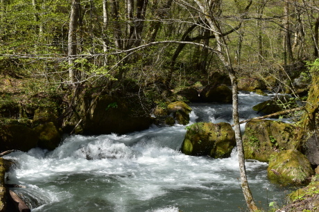f0362524_19083093.jpg