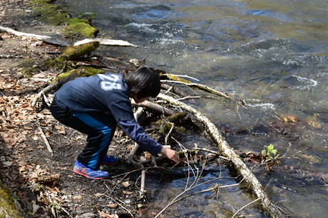 f0362524_19094326.jpg