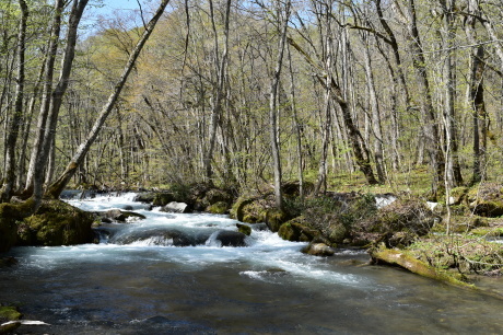 f0362524_19100667.jpg