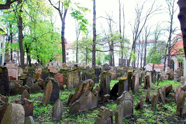 c0067529_17070629.jpg