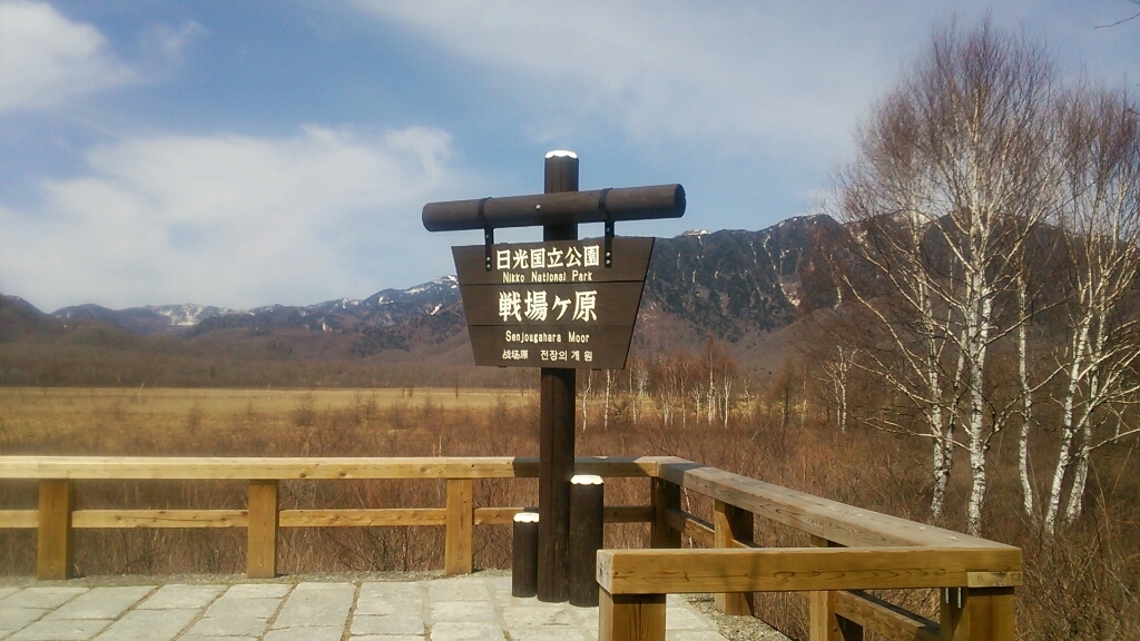 c0226331_16543059.jpg