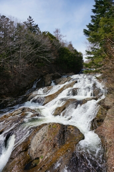 c0226331_16544023.jpg