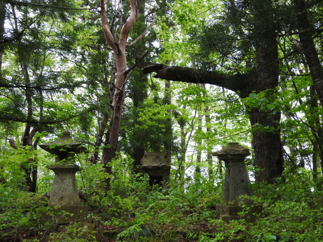 f0118332_23454558.jpg