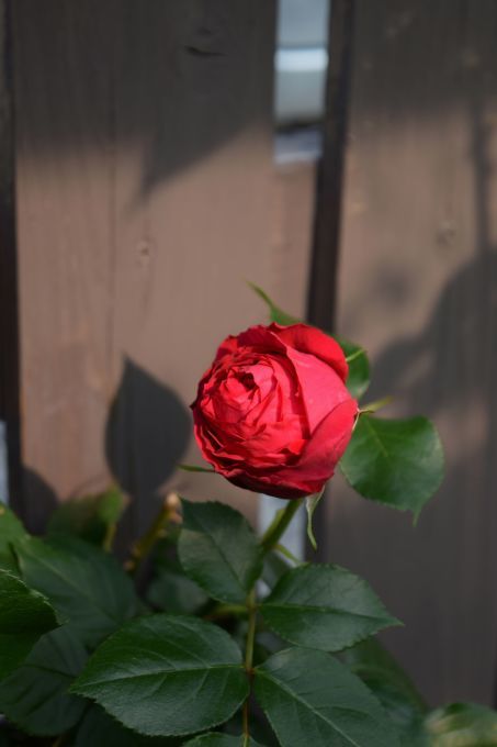 a0228333_23544387.jpg