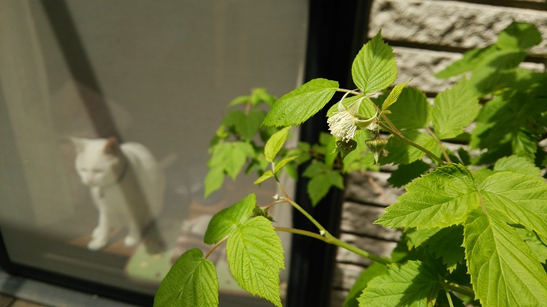 f0002833_11164588.jpg