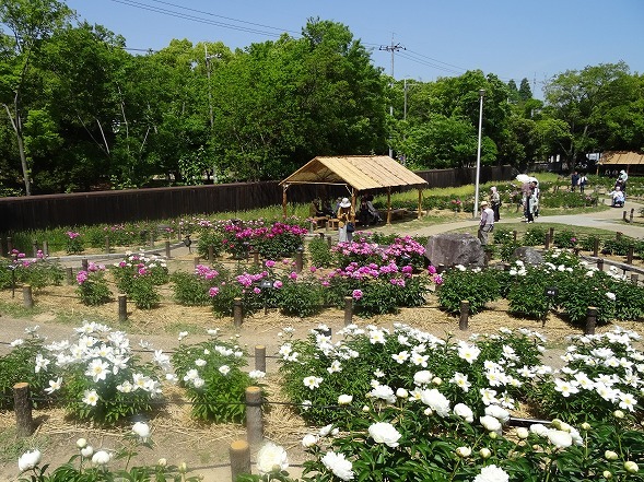 b0299042_15392119.jpg