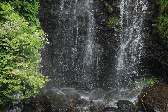 a0161745_6453073.jpg