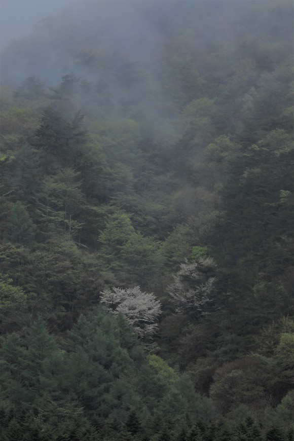 a0161745_6465542.jpg