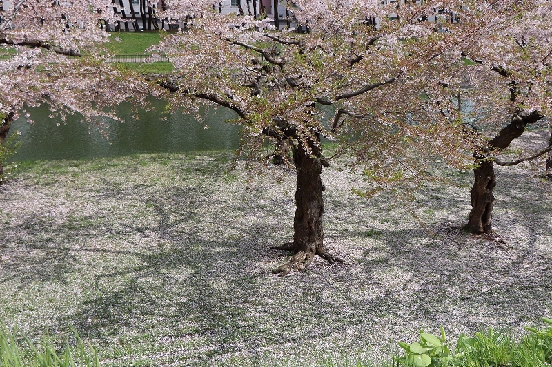 b0250154_20190901.jpg
