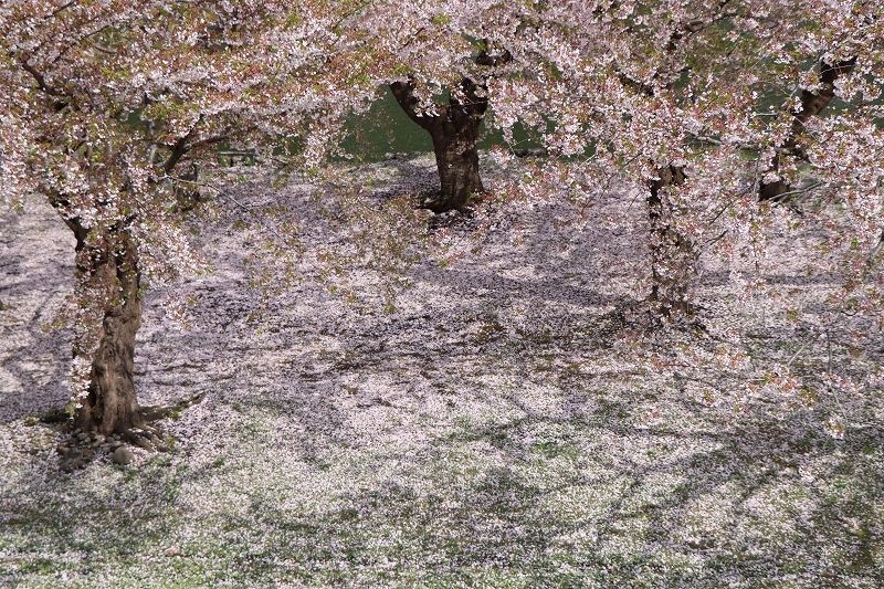 b0250154_20192404.jpg