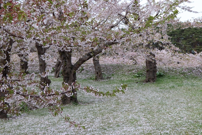 b0250154_20223922.jpg