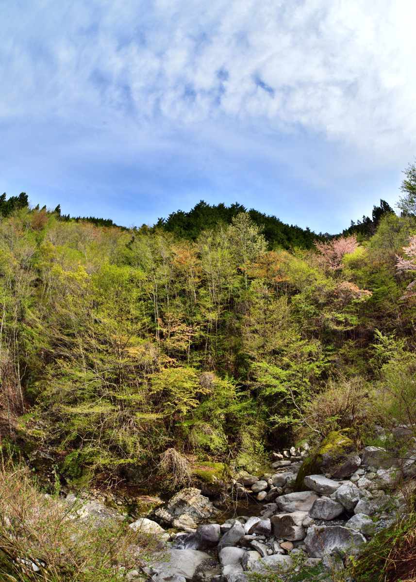 d0286954_17310259.jpg
