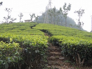 f0365954_19434910.jpg