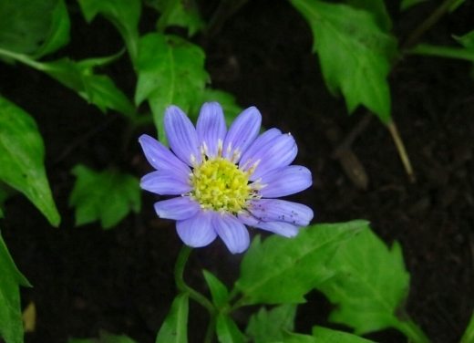 a0018655_15045035.jpg