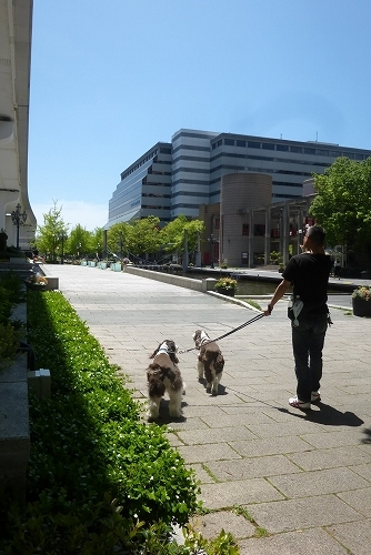 c0338262_20452466.jpg
