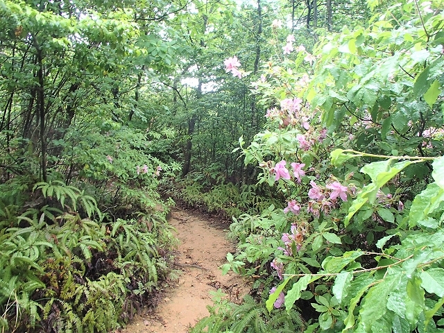 b0044663_13484148.jpg