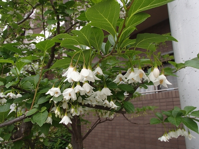 b0044663_13562458.jpg
