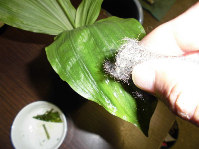 f0318967_22180388.jpg