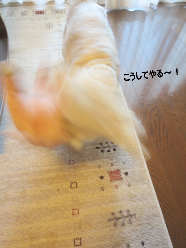 d0264176_1934379.jpg
