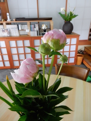 f0054677_05451739.jpg