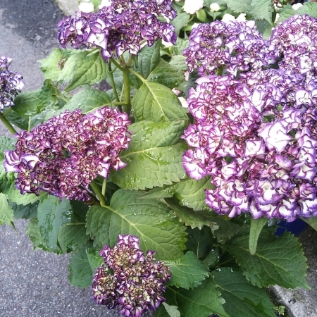 b0245883_07393063.jpg