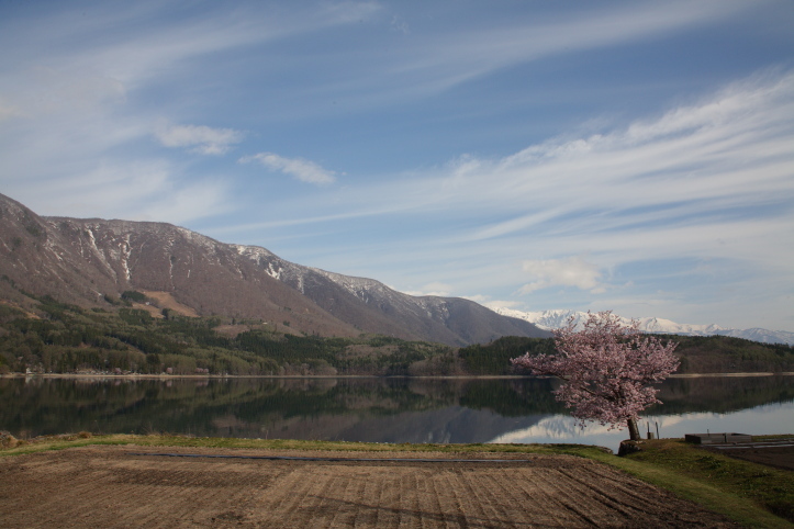 e0165983_14191789.jpg